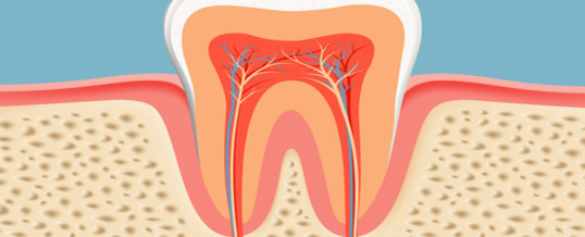 Dental Root Canal Treatment: Things you need to know before seeing a Dentist